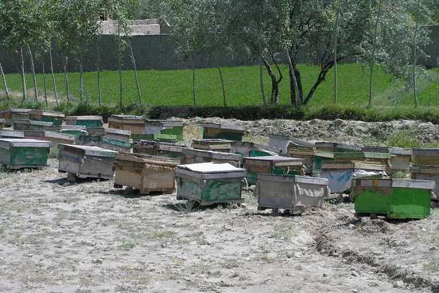 Úly, úly a zase úly