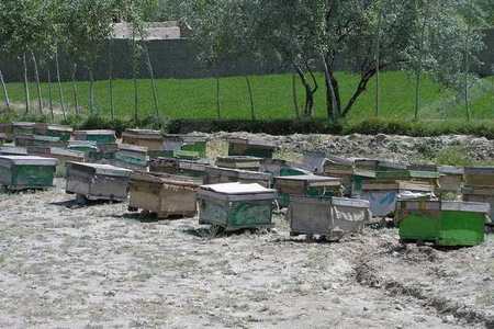 Úly, úly a zase úly