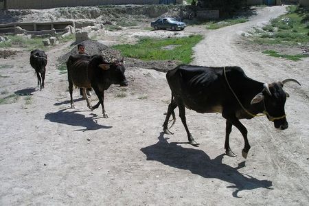 Budoucí dodavatelky mléčného centra
