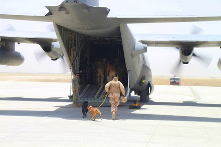 Poslední z nastupujících byl psovod se svými čtyřnohými svěřenci