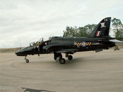 Hawk (1)