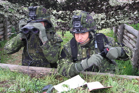 Danes at the Flying Rhino 2010 exercise