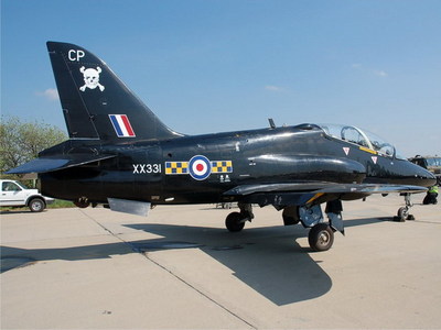 Hawk (2)