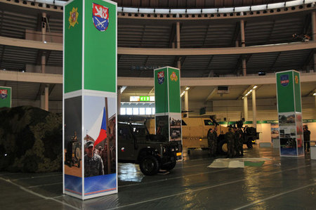 IDET 2011 (11)