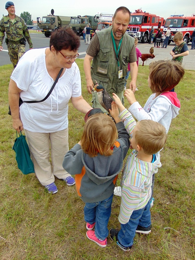 ukázka dravce ornitologické stanice kbelského letiště