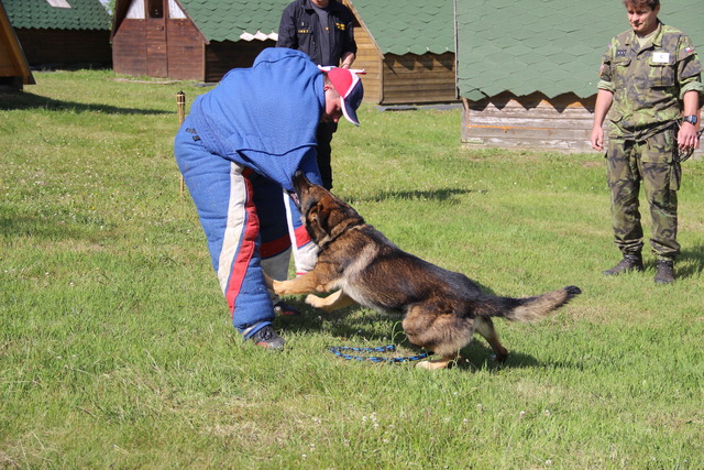 Přepad při pochůzce