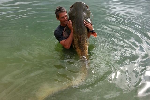 Fotografie, která se nestihla - Jan Železný a jeho rekordní sumec 230 cm