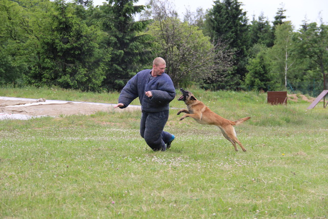 Zadržení prchající osoby