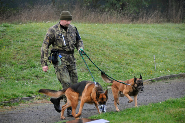 Kynolog Vojenské policie nadrotmistr Jan Hlavnička se svými svěřenci - německými ovčáky Foxem a Arwinem 