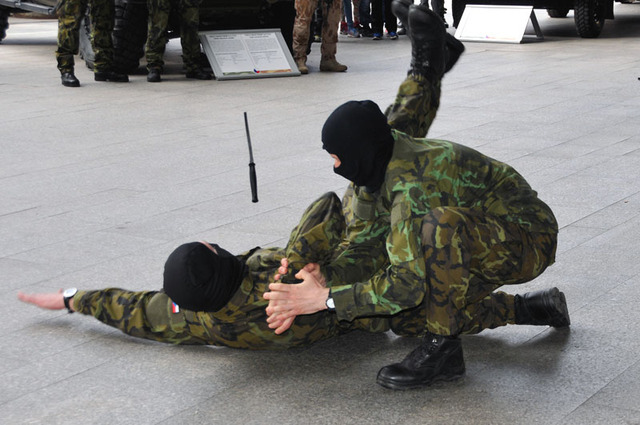 O komentovanou ukázku boje zblízka byl mezi diváky velký zájem
