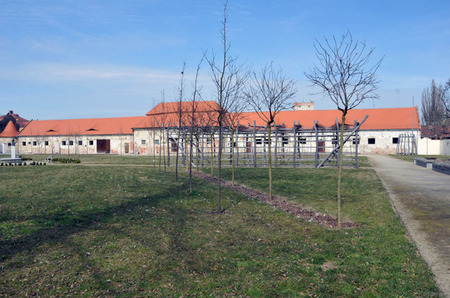 Z budovy  bývalého Letního Refektáře by mohlo vzniknout v Kláštěrním Hradisku v Olomouci středisko pro dětské pacienty, kteří vyžadují speciální lékařskou péči po těžkých úrazech...