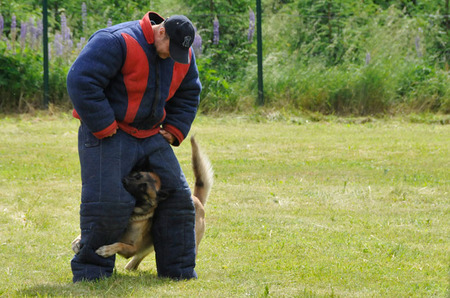 Vynalézavost psů jak zadržet narušitele střeženého objektu mnohdy neznala mezí