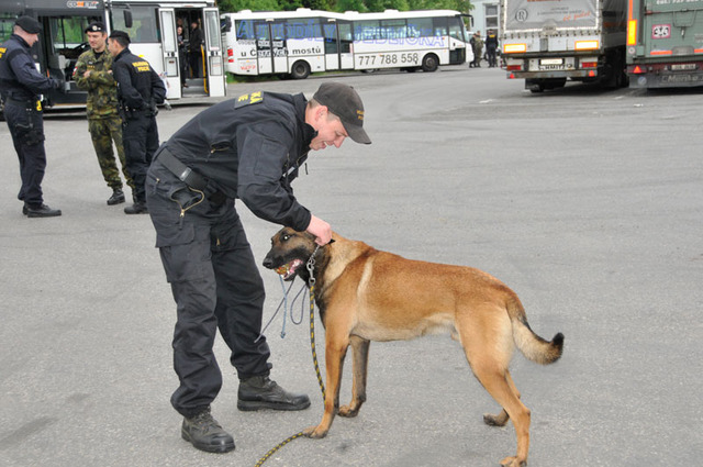 Pouhé tři měsíce si na sebe zvykají nadporučík Viktor Stehlík a belgický ovčák Lucky, který je prý výborným pracantem. Ani tentokráte nezapomene psovod svého čtyřnohého pomocníka pochválit