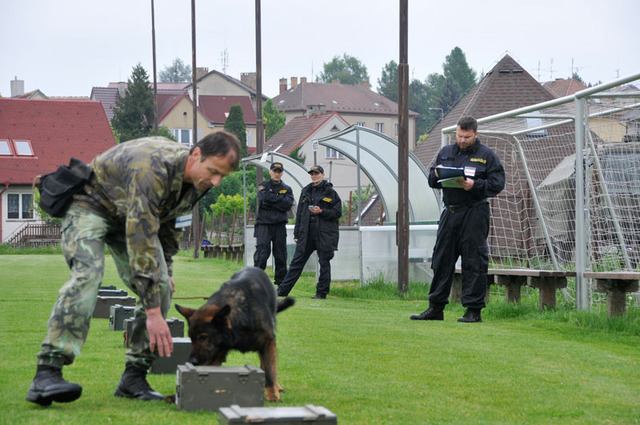 Prvním soutěžícím v disciplíně, která zahrnovala vyhledávání nastražené psychotropní a omamné látky, v tomto případě vzorku 10 gramů hašiše, byl na chýnovském hřišti nadrotmistr Jiří Švancara se psem Ajaxem.