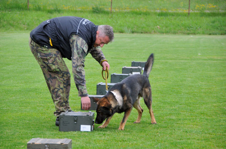 Při práci desátník Tomáš Fořt a jeho  ovčák Hasko