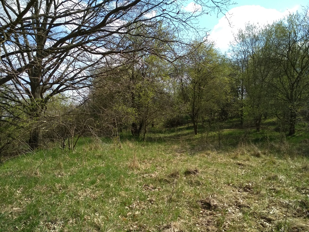 Lešany