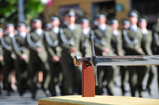 Univerzitní insignie