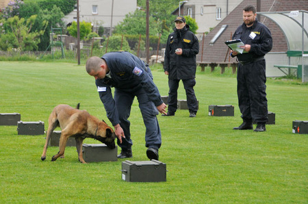 Opravdovou radost udělal svému "páníčkovi" Martinu Kobrčovi z Celní správy zkušený belgický ovčák Boris. Tito soutěžící obdrželi zcela zaslouženě po předvedené souhře při vyhledávání drogy plných sto bodů.