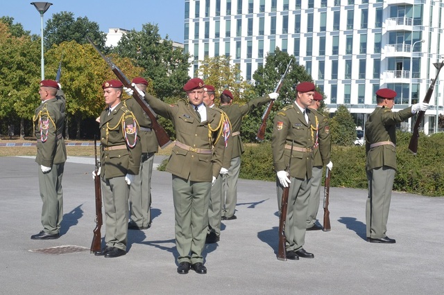 Vojáci Čestné stráže sklidili se svým exhibičním vystoupením velký potlesk