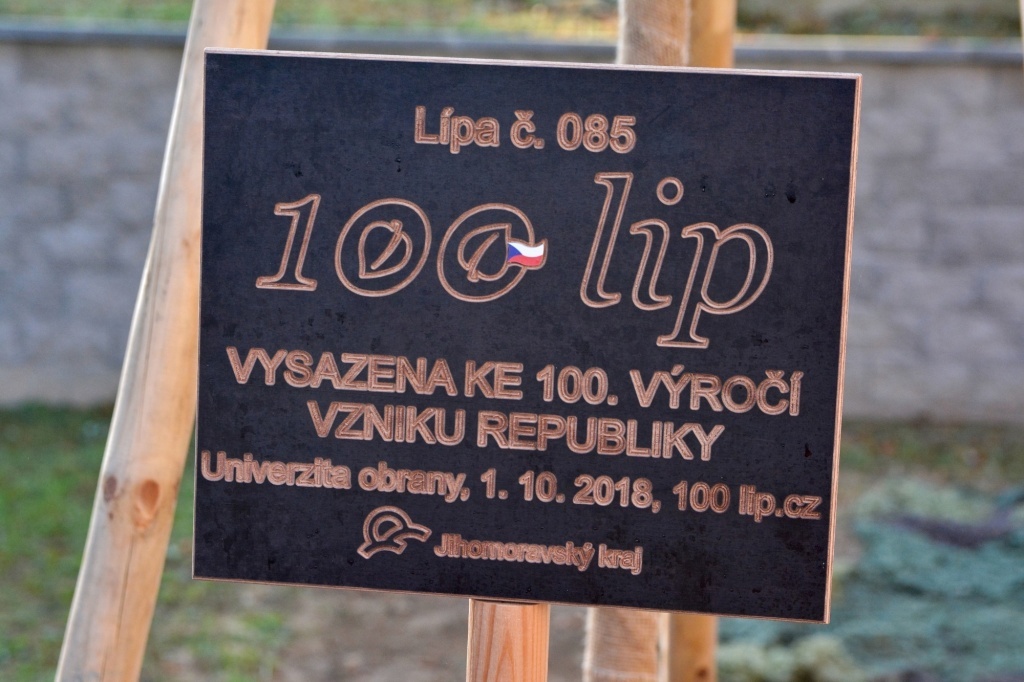 Informační tabulka na lípě č. 085 