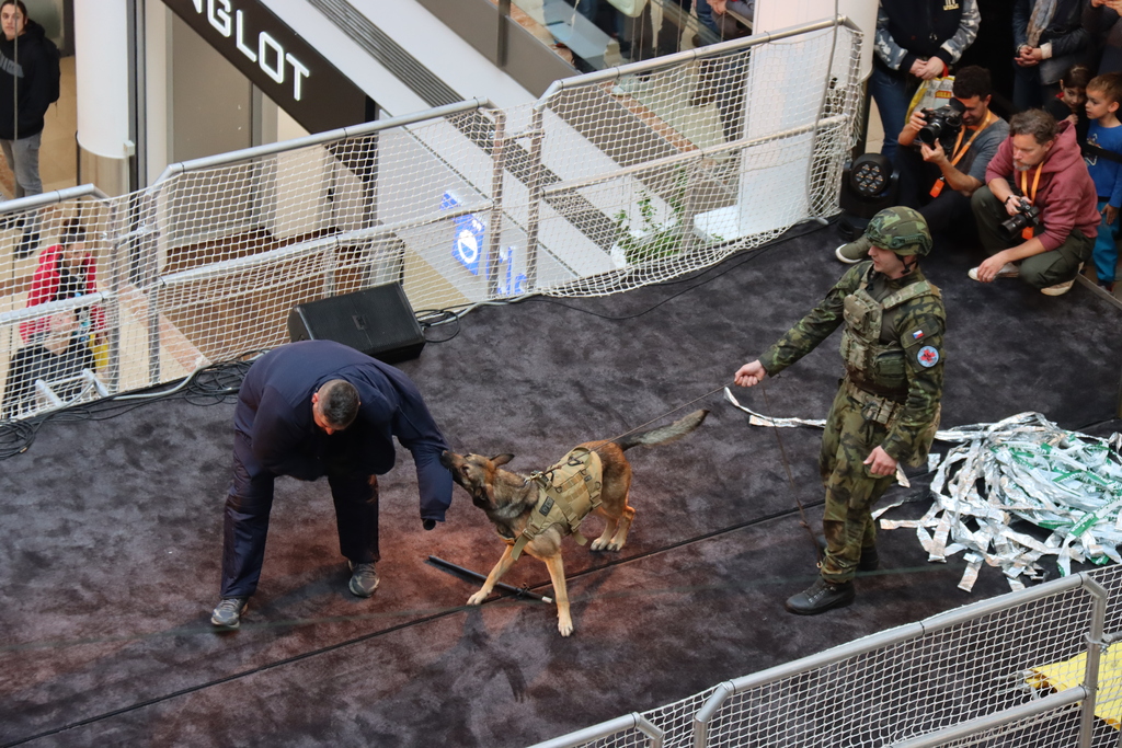 Z Army Dne na Floře