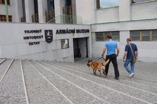 V Armádním muzeu Žižkov nejsou psovodi ani jejich svěřenci poprvé