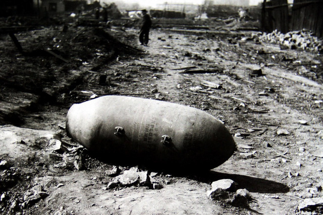 Americká puma o hmotnosti 250 kg