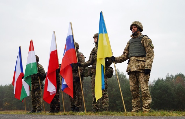 V4 EU BG Common Challenge 2015