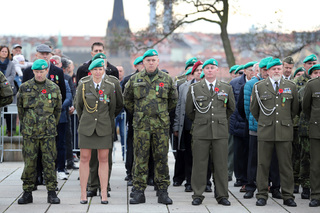 Den válečných veteránů se slaví celosvětově 11. listopadu, u příležitosti konce první světové války. Květy vlčího máku pokrývaly hroby vojáků padlých na západní frontě a staly se proto symbolem tohoto svátku. 