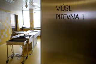 Ministryně obrany navštívila významná pracoviště Ústřední vojenské nemocnice Praha