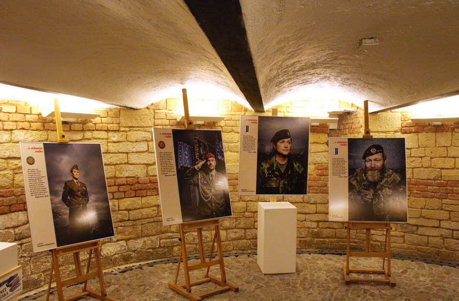 Výstava je umístěna v Galerii pod radnicí v Praze 3 na Havlíčkově náměstí 9