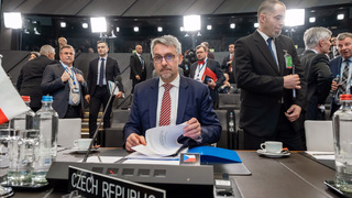 Ministr obrany Lubomír Metnar před zasedáním ministrů obrany NATO.