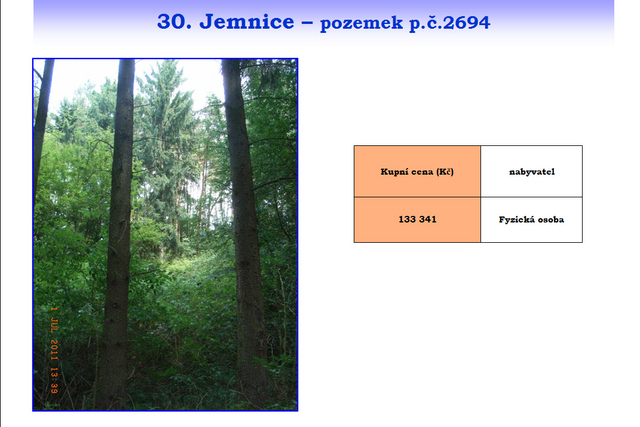 30 Jemnice