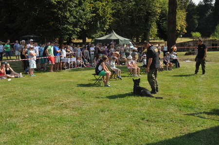  Vojenská policie - výcvik služebních psů