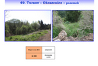 49 Turnov