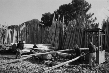 Originální fotografie Bohumila „Boba” Krčila z Afghánistánu z roku 1978 (4)