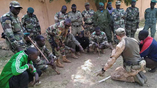 Ilustrační obrázek ke článkuVláda schválila vyslání vojáků do Mali, Nigeru a Čadu