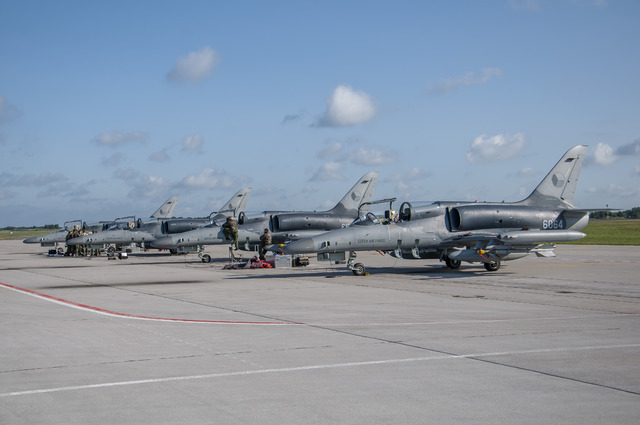 Čtveřice L-159 na česko-litevském cvičení Baltic Eye