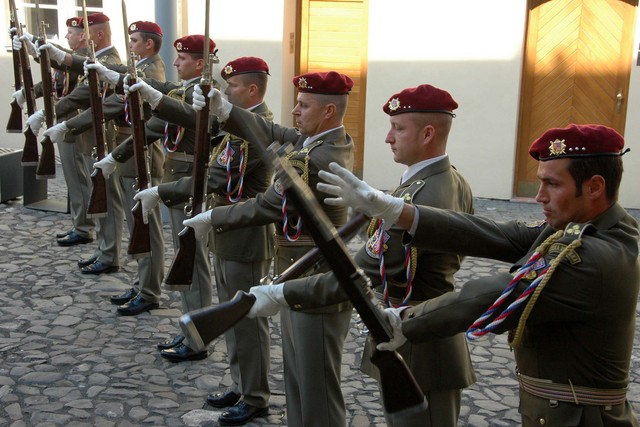 Exhibiční vystoupení jednotky Čestné stráže AČR