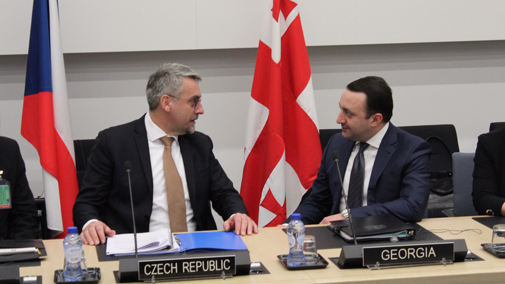 Z jednání s ministrem obrany Gruzie Iraklim Garibasvilim.