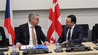 Z jednání s ministrem obrany Gruzie Iraklim Garibasvilim.