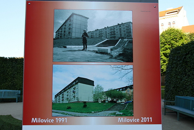 Za dvacet let už stromy vyrostly 
