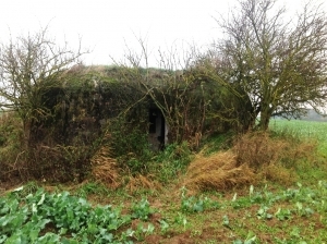 Řopík - Vratěnín