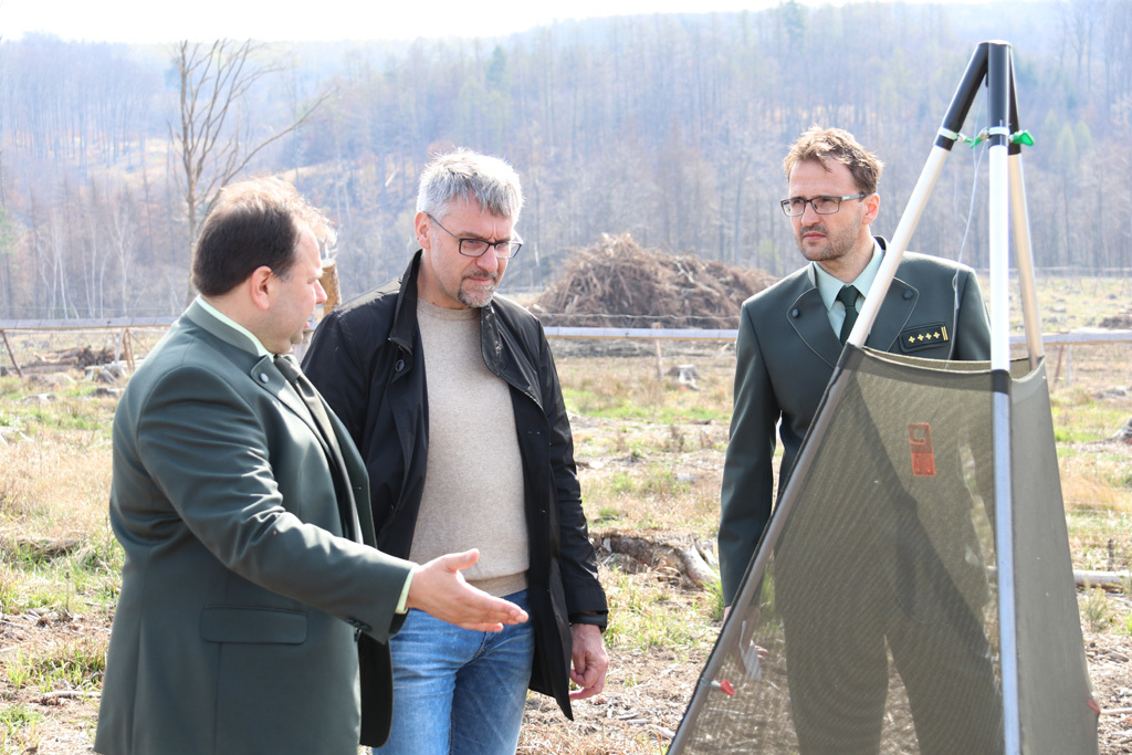 Jeden ze způsobů, jak VLS bojují proti škůdcům - Trinet