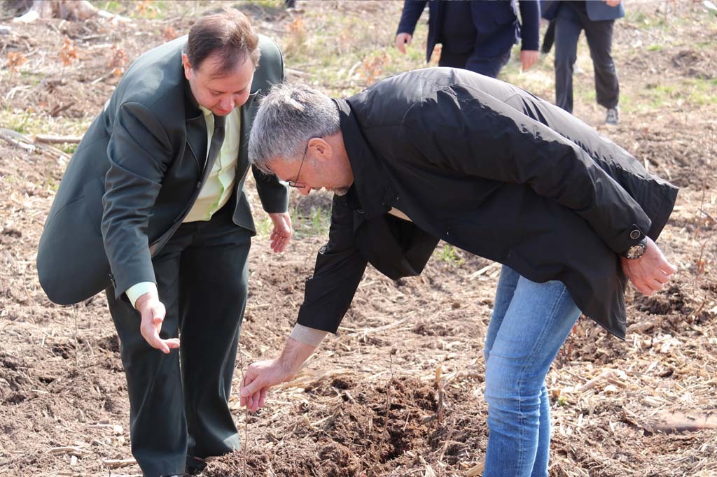 Ministr Metnar zkouší pevnost zasazení nového stromku