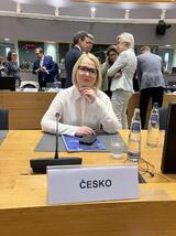 Ministři obrany zemí EU jednali v Bruselu