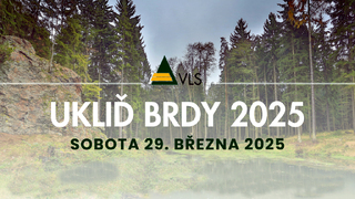 Ilustrační obrázek ke článkuPomozte nám uklidit lesy. VLS zve dobrovolníky do Brd