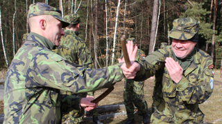 Ilustrační obrázek ke článkuZ kanceláře přímo do boje – aktivní záloha cvičila v Bechyni sebeobranu