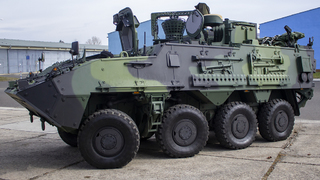 Ilustrační obrázek ke článkuNové spojovací Pandury slyší i člověka na opačné straně zeměkoule