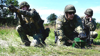 Ilustrační obrázek ke článkuBožena, rypadla, ale i bojová vozidla pěchoty. Olomoučtí ženisté cvičí na Libavé